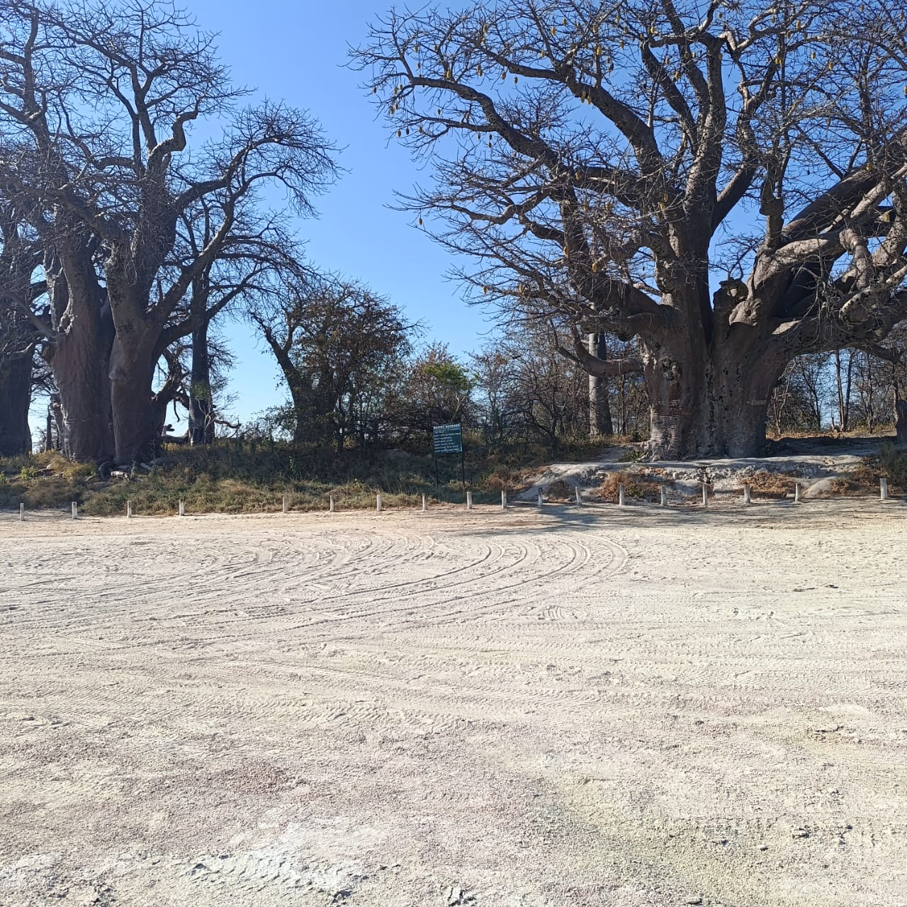 Guests enjoying an Inyati safari experience