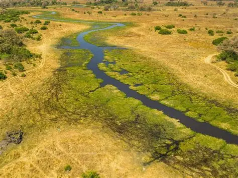 Mobile tented safari through Northern Botswana
